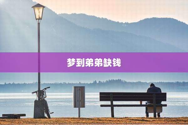 梦到弟弟缺钱