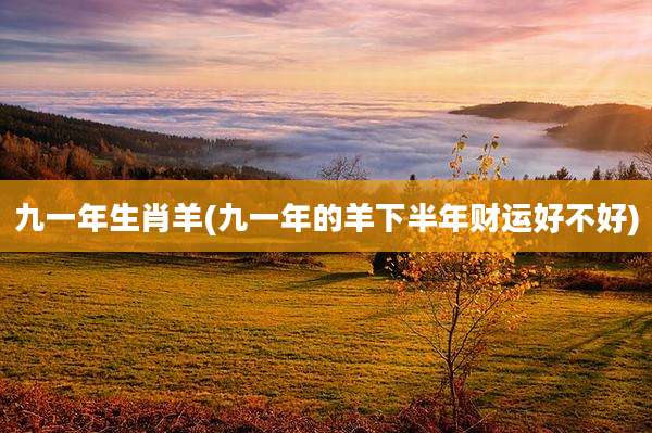 九一年生肖羊(九一年的羊下半年财运好不好)