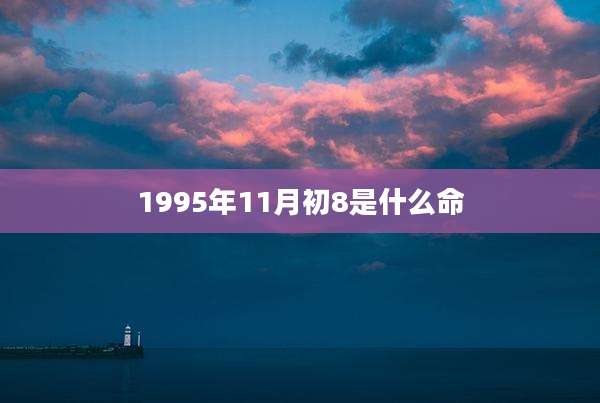1995年11月初8是什么命