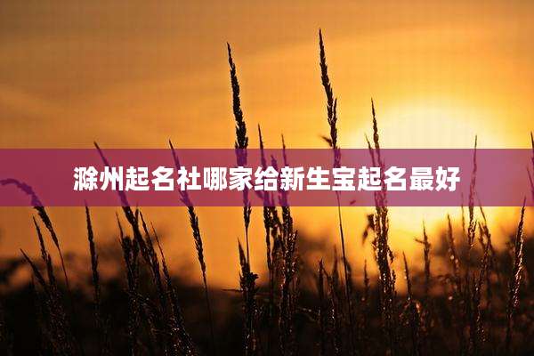 滁州起名社哪家给新生宝起名最好