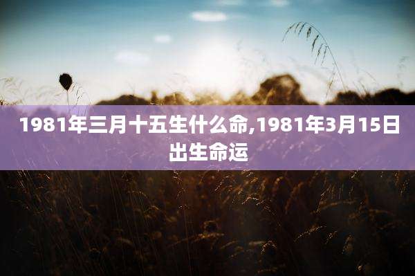 1981年三月十五生什么命,1981年3月15日出生命运