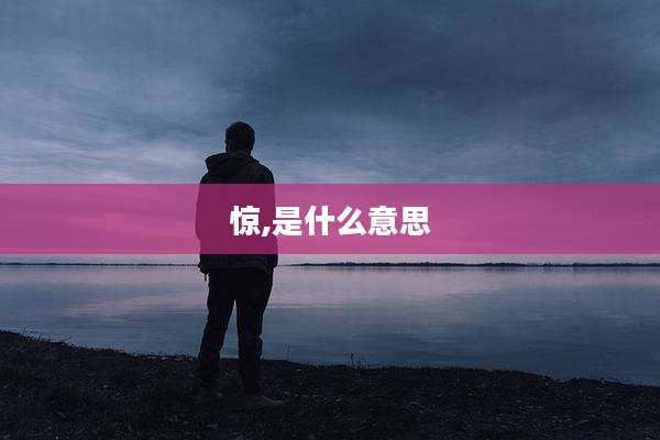 惊,是什么意思