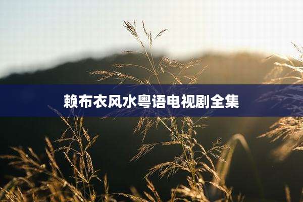 赖布衣风水粤语电视剧全集