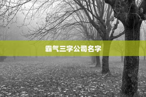 霸气三字公司名字