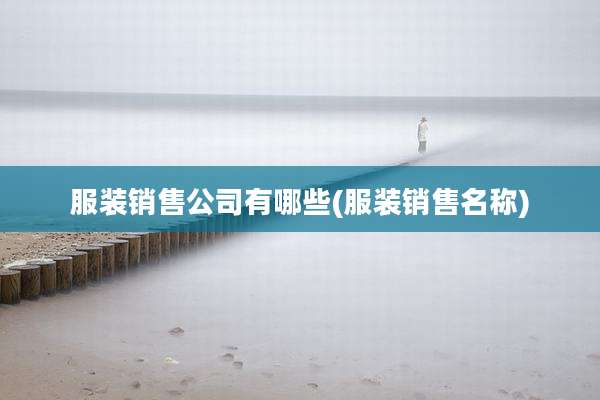 服装销售公司有哪些(服装销售名称)