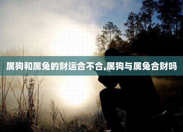 属狗和属兔的财运合不合,属狗与属兔合财吗