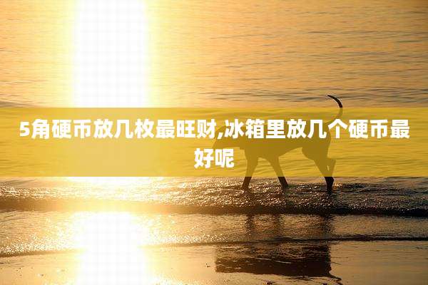 5角硬币放几枚最旺财,冰箱里放几个硬币最好呢