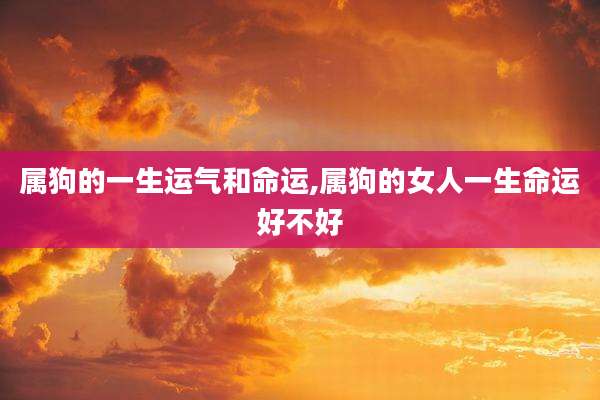属狗的一生运气和命运,属狗的女人一生命运好不好