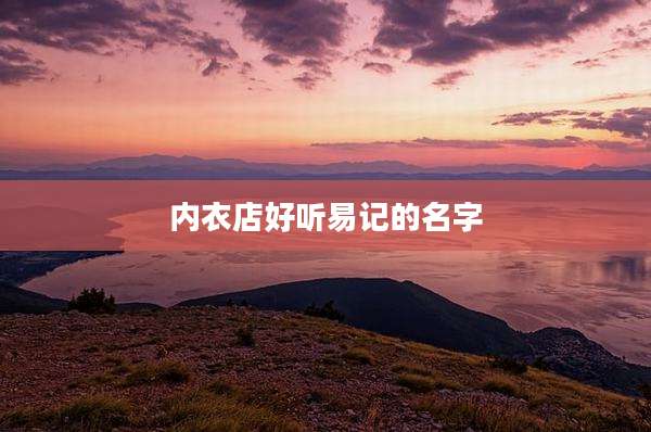 内衣店好听易记的名字
