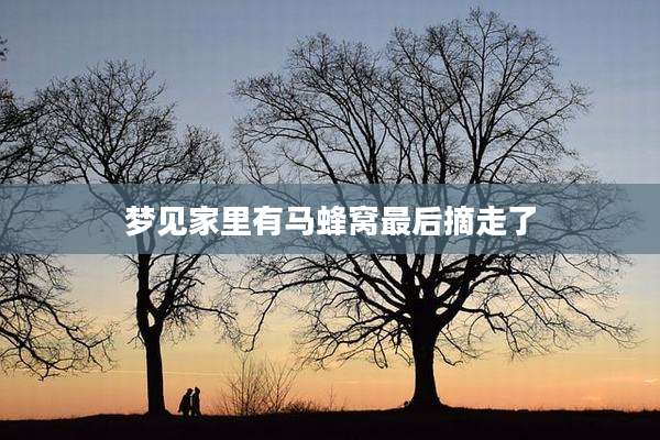梦见家里有马蜂窝最后摘走了