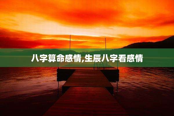 八字算命感情,生辰八字看感情