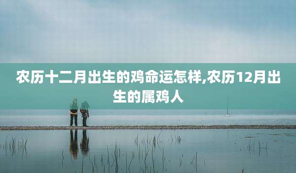 农历十二月出生的鸡命运怎样,农历12月出生的属鸡人