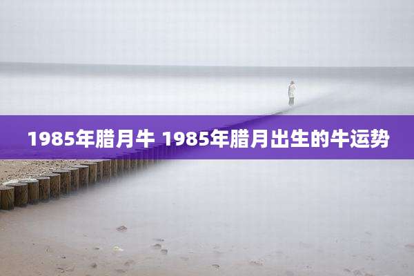 1985年腊月牛 1985年腊月出生的牛运势