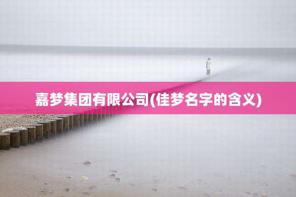 嘉梦集团有限公司(佳梦名字的含义)