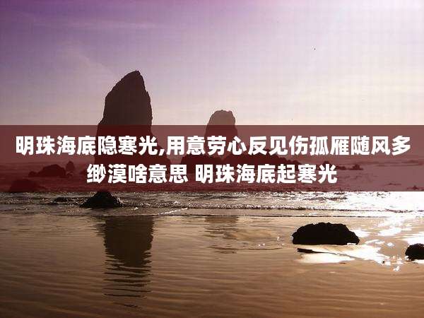 明珠海底隐寒光,用意劳心反见伤孤雁随风多缈漠啥意思 明珠海底起寒光