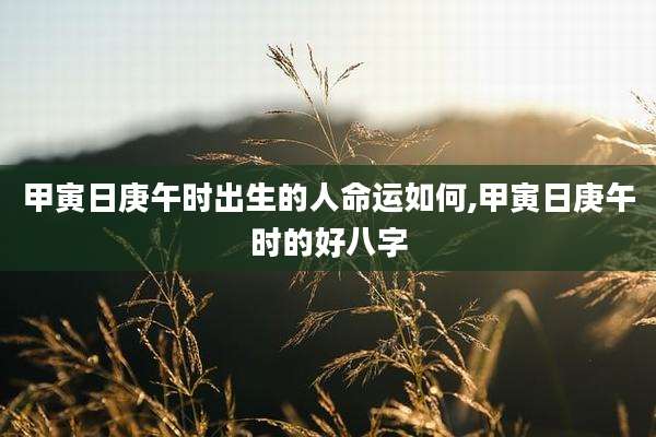 甲寅日庚午时出生的人命运如何,甲寅日庚午时的好八字