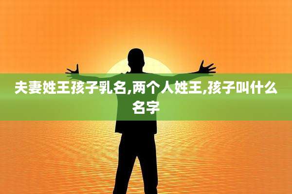 夫妻姓王孩子乳名,两个人姓王,孩子叫什么名字