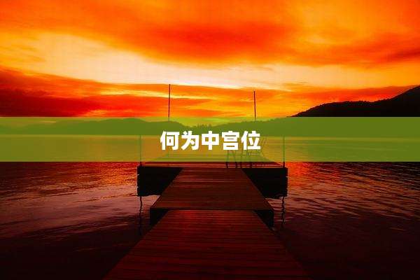 何为中宫位