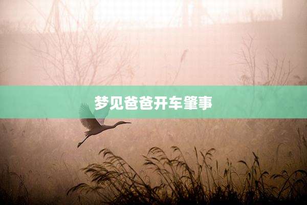 梦见爸爸开车肇事