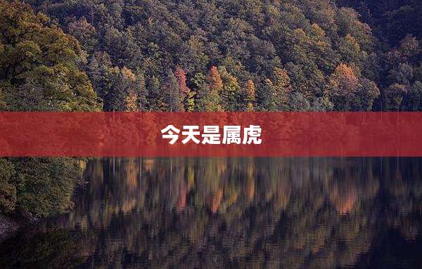 今天是属虎
