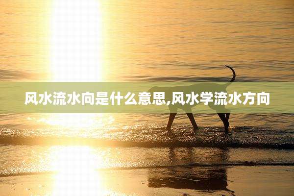 风水流水向是什么意思,风水学流水方向