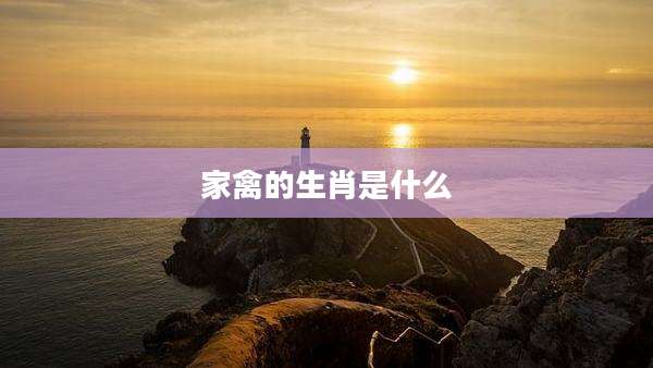家禽的生肖是什么