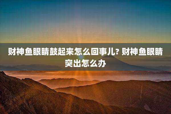 财神鱼眼睛鼓起来怎么回事儿? 财神鱼眼睛突出怎么办