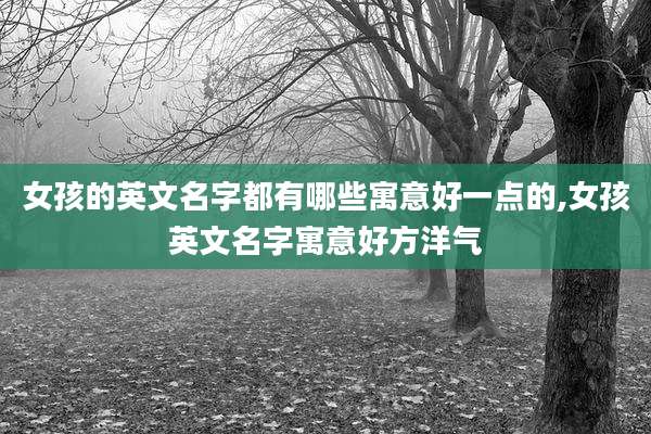 女孩的英文名字都有哪些寓意好一点的,女孩英文名字寓意好方洋气
