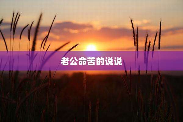 老公命苦的说说
