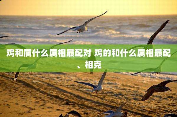 鸡和属什么属相最配对 鸡的和什么属相最配、相克