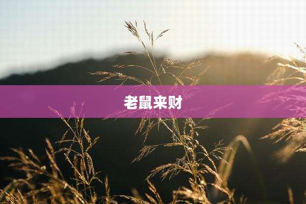 老鼠来财