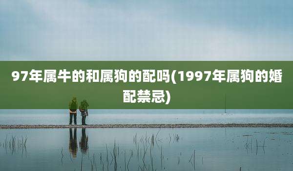 97年属牛的和属狗的配吗(1997年属狗的婚配禁忌)