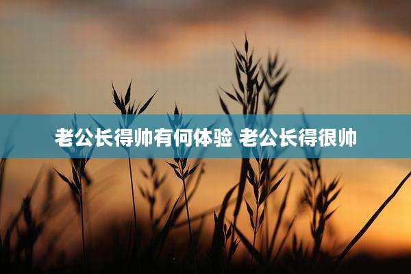老公长得帅有何体验 老公长得很帅