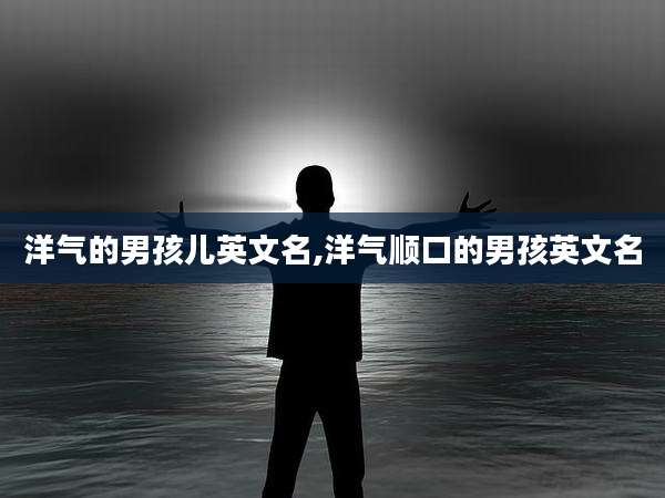 洋气的男孩儿英文名,洋气顺口的男孩英文名