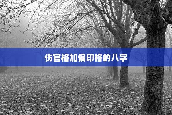 伤官格加偏印格的八字