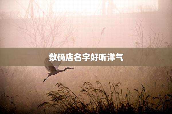数码店名字好听洋气