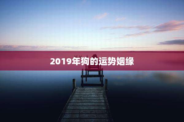 2019年狗的运势姻缘