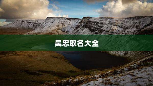 吴忠取名大全