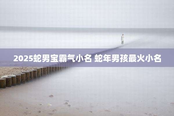 2025蛇男宝霸气小名 蛇年男孩最火小名