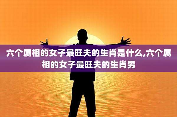 六个属相的女子最旺夫的生肖是什么,六个属相的女子最旺夫的生肖男