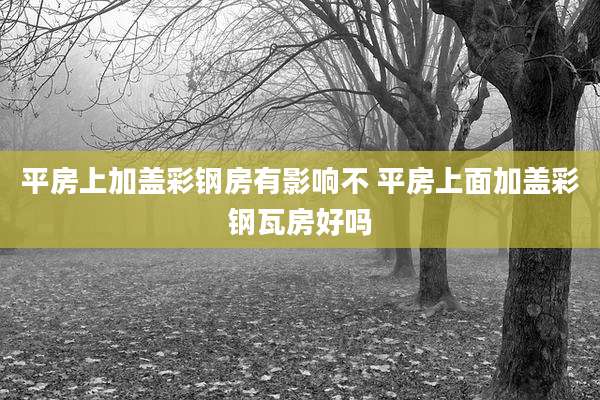 平房上加盖彩钢房有影响不 平房上面加盖彩钢瓦房好吗