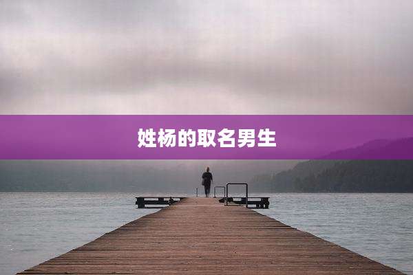 姓杨的取名男生