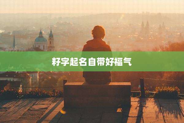 籽字起名自带好福气