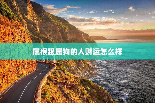 属猴跟属狗的人财运怎么样