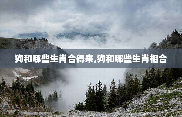 狗和哪些生肖合得来,狗和哪些生肖相合