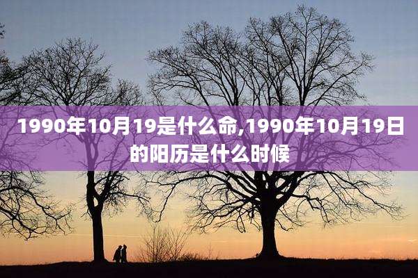 1990年10月19是什么命,1990年10月19日的阳历是什么时候
