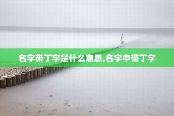 名字带丁字是什么意思,名字中带丁字