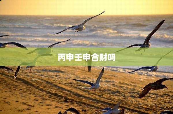 丙申壬申合财吗