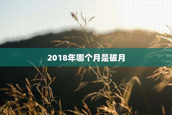 2018年哪个月是破月