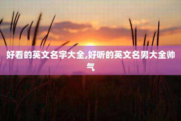 好看的英文名字大全,好听的英文名男大全帅气